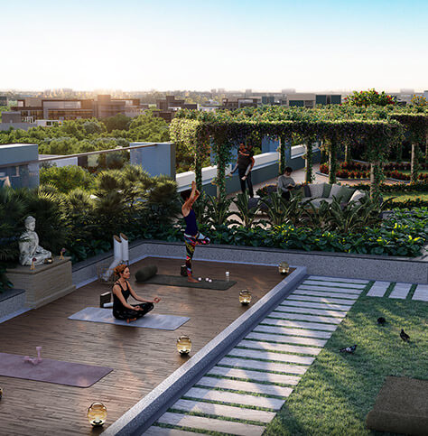 Yoga and Meditation Zone