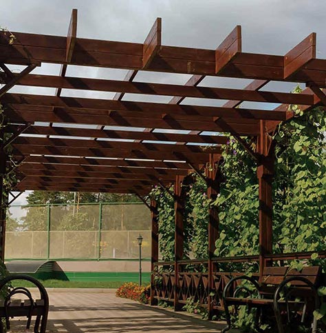 Tranquil Sitting Area Under Pergola